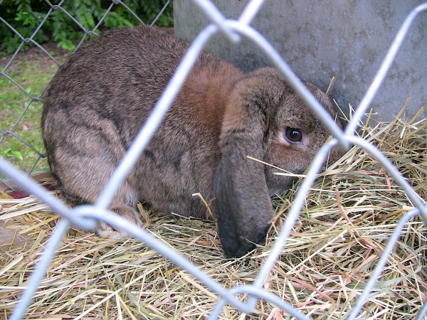 Výstava Humpolec